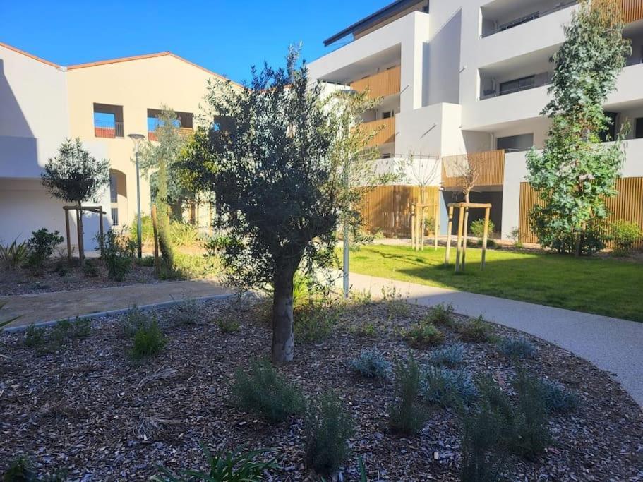 L'Appartement De L'Artiste Marseillan Kültér fotó